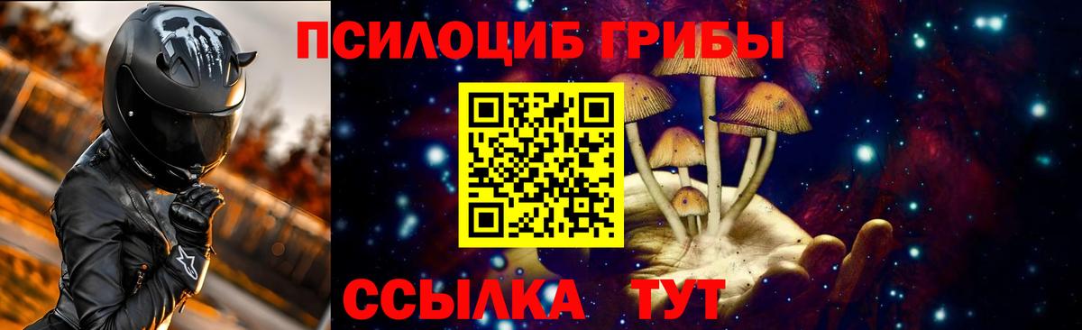Псилоцибиновые грибы Magic Shrooms Электрогорск